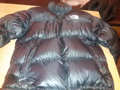 The north face American model goose down