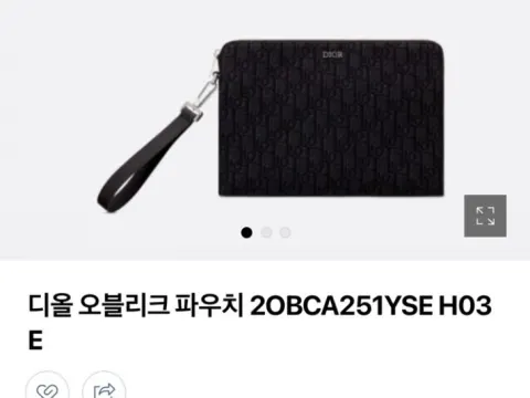 디올 클러치 파우치 오블리크 자수