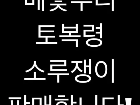 메꽃뿌리 토복령 소루쟁이