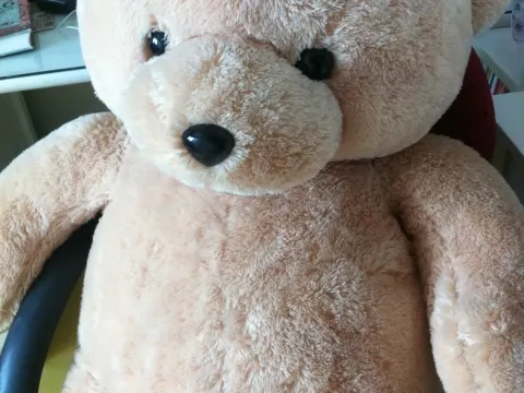 보들보들 큰 곰인형