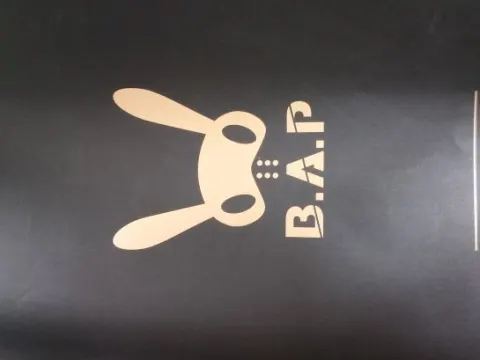 bap 화보집 [Recording Take 1] 팝니다!