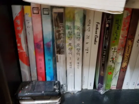 BL 중고소설