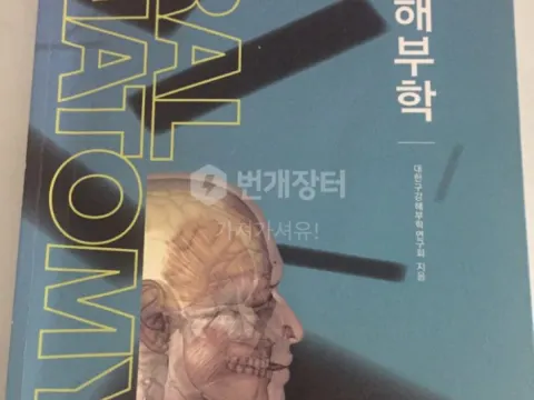 치위생과 책