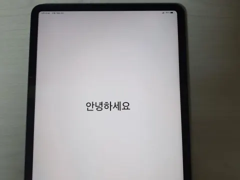 아이패드프로3세대 11인치 255 셀룰러 펜슬포함 팝니다
