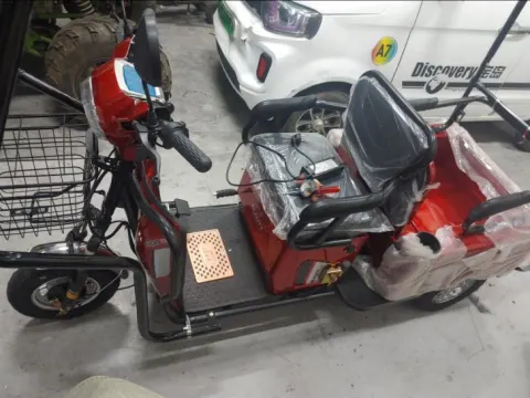 3륜 4륜 전기 전동 바이크