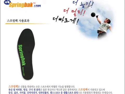 스프링백
