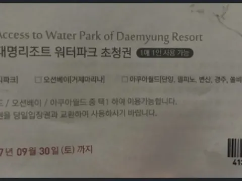 대명리조트 워터파크 초청권