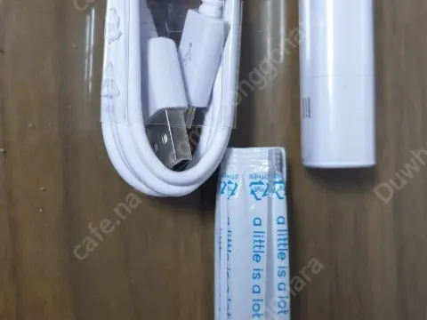 릴 미니