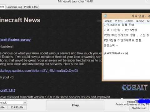 마인크래프트 정품 계정 판매