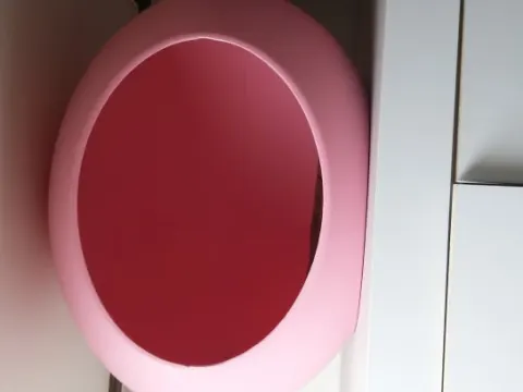 강아지집